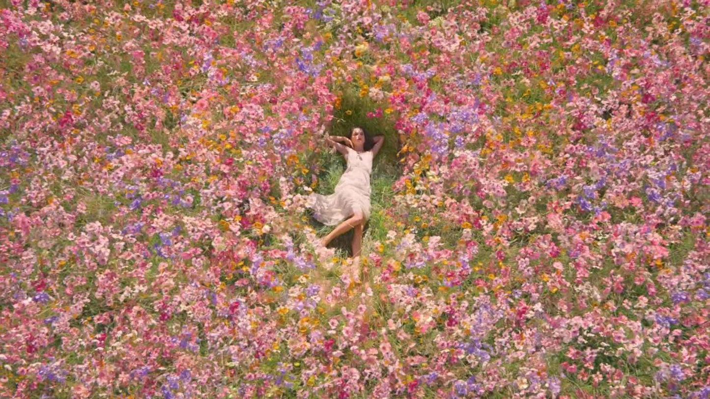 Miss Dior Blooming Bouquet eau de toilette 100ml