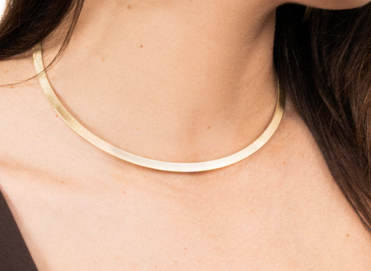 Clara Cloe Thin Necklace in Satin-Finished Silver, 24 kt Gold Plated