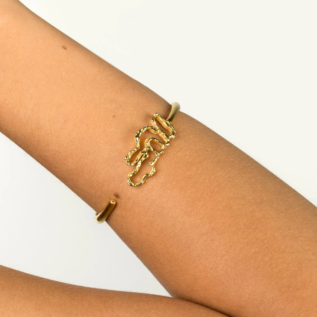 Diploria Signature Bracelet