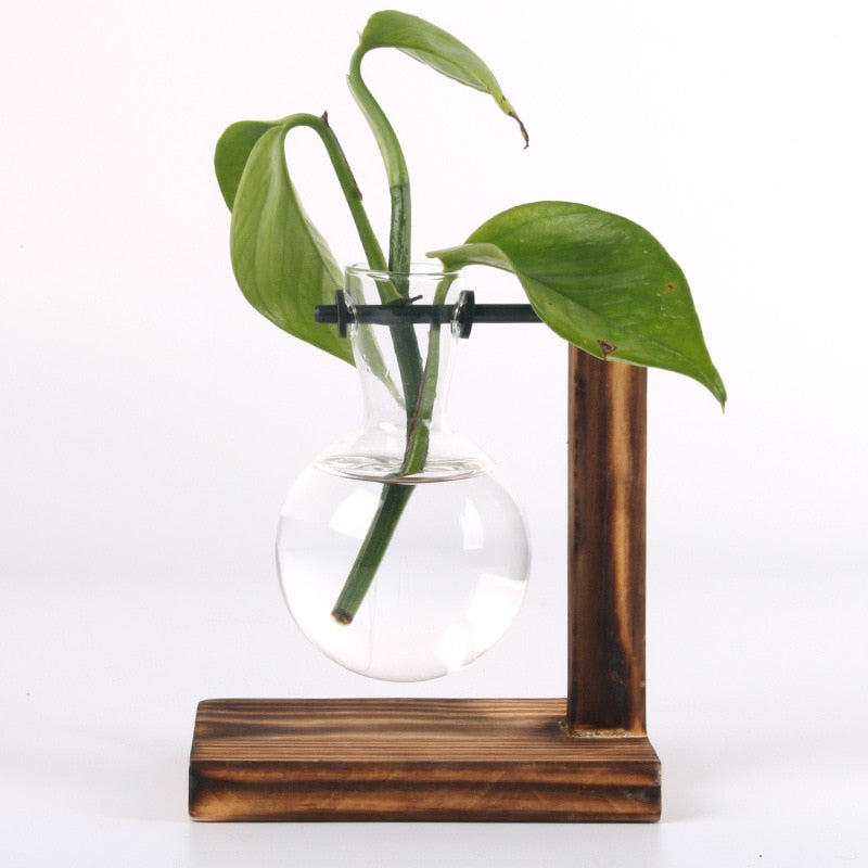 Glass Terrarium Vase